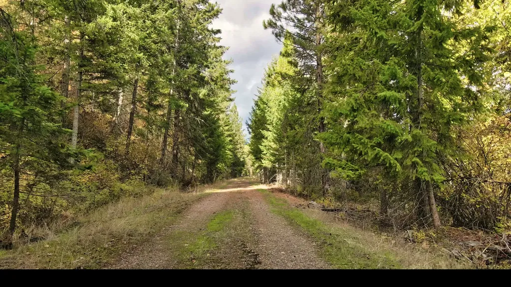 Tbd Cold Creek Road St Regis MT 59866