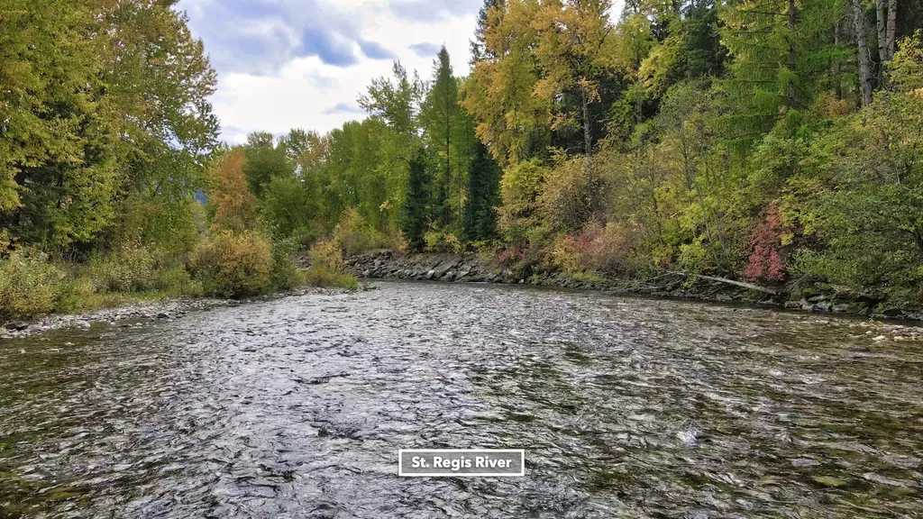 Tbd Cold Creek Road St Regis MT 59866