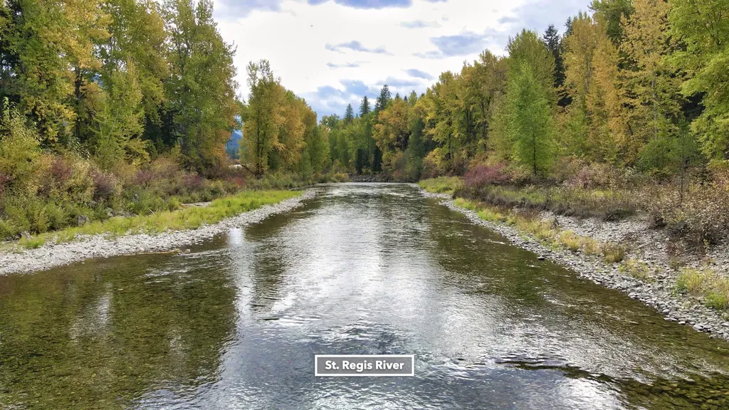 Tbd Cold Creek Road St Regis MT 59866