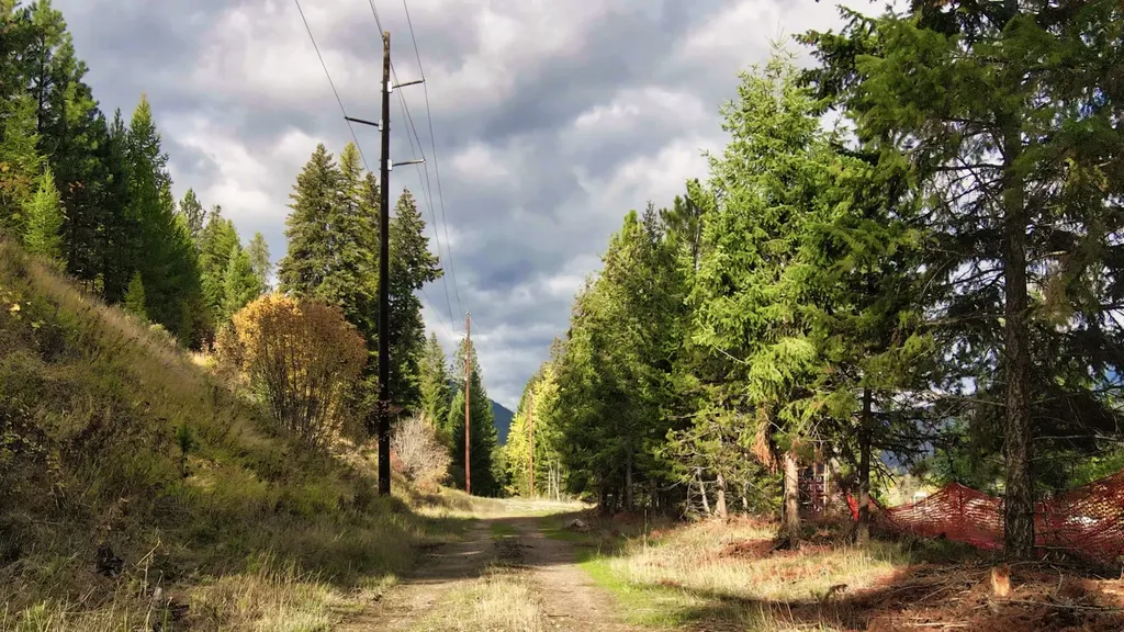 Tbd Cold Creek Road St Regis MT 59866