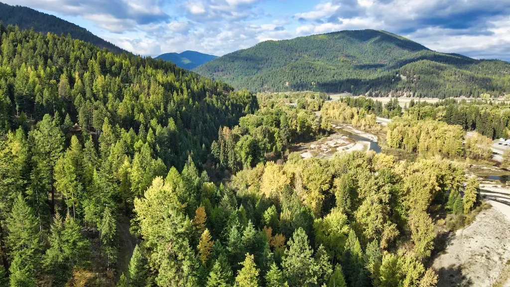 Tbd Cold Creek Road St Regis MT 59866