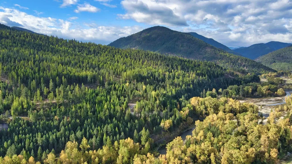Tbd Cold Creek Road St Regis MT 59866
