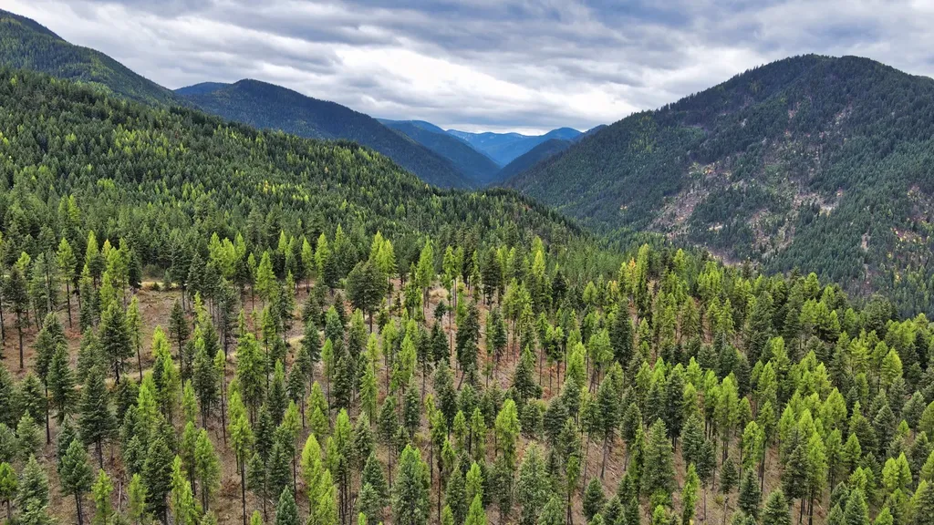 Tbd Cold Creek Road St Regis MT 59866