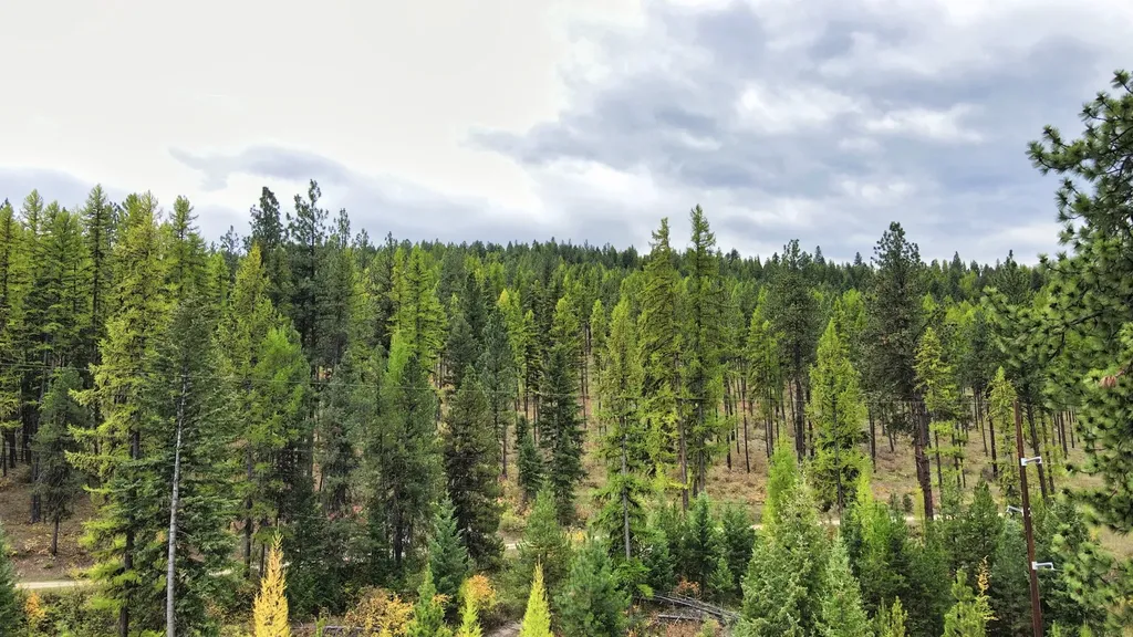 Tbd Cold Creek Road St Regis MT 59866