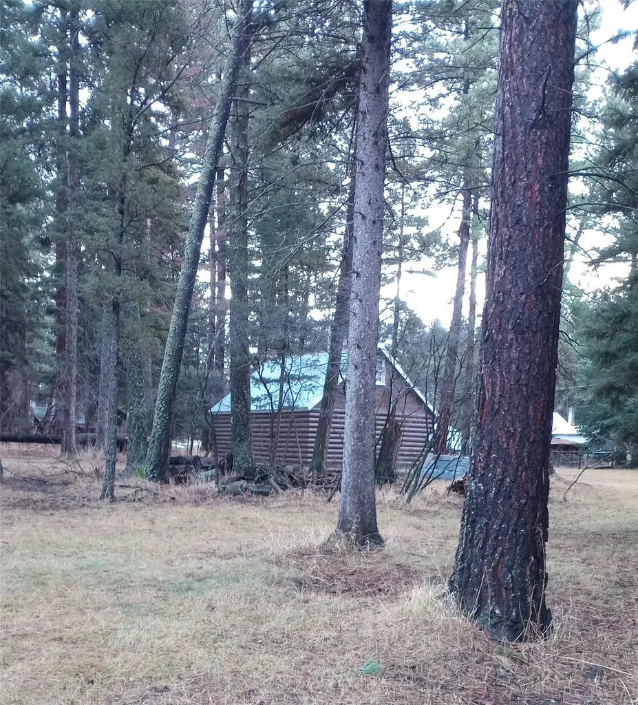 622 D Street Lincoln MT 59639
