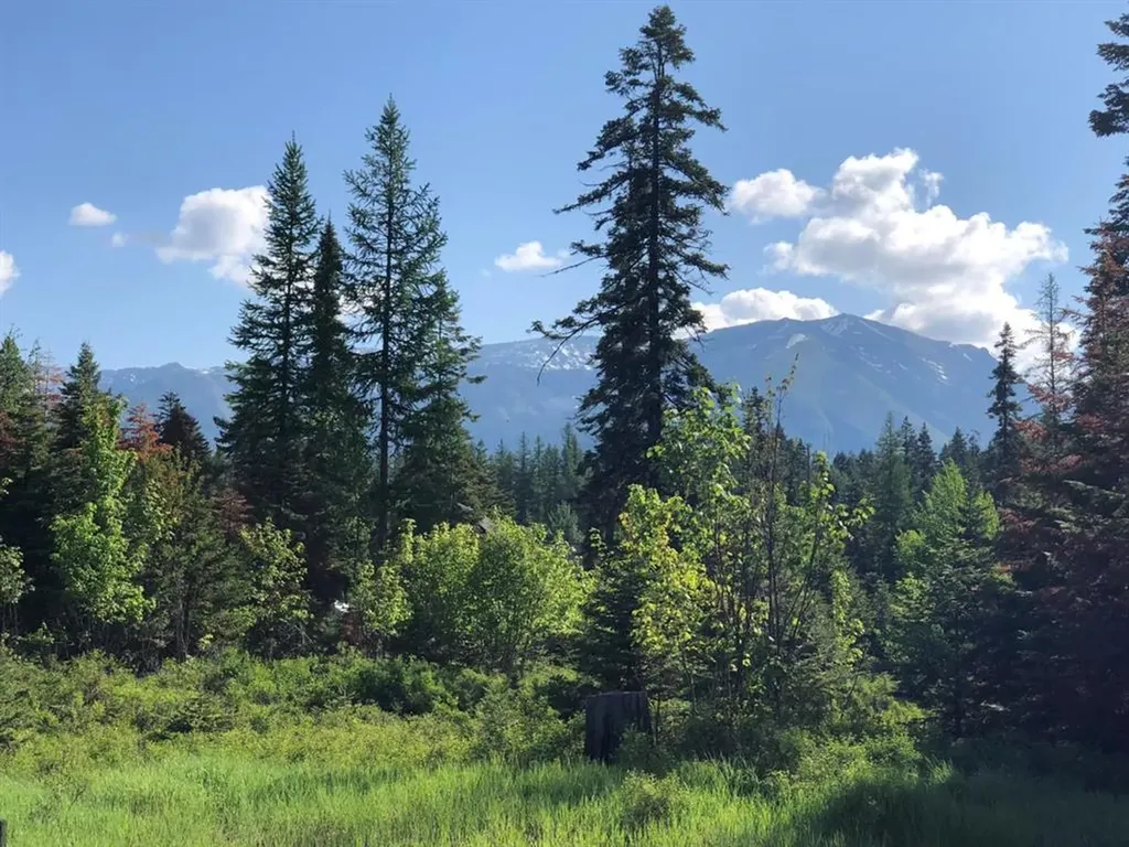 13523 Sundance Trail Bigfork MT 59911