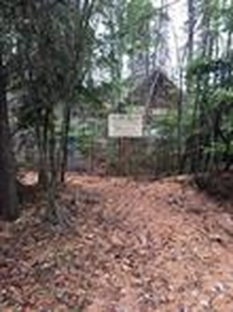 13523 Sundance Trail Bigfork MT 59911