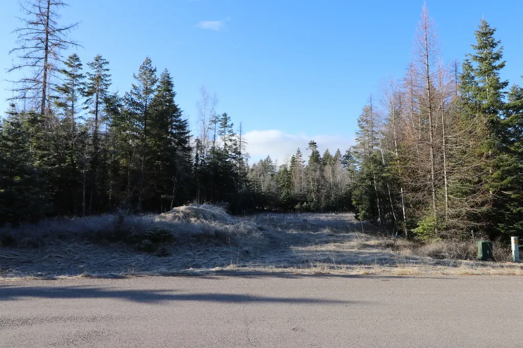 13523 Sundance Trail Bigfork MT 59911