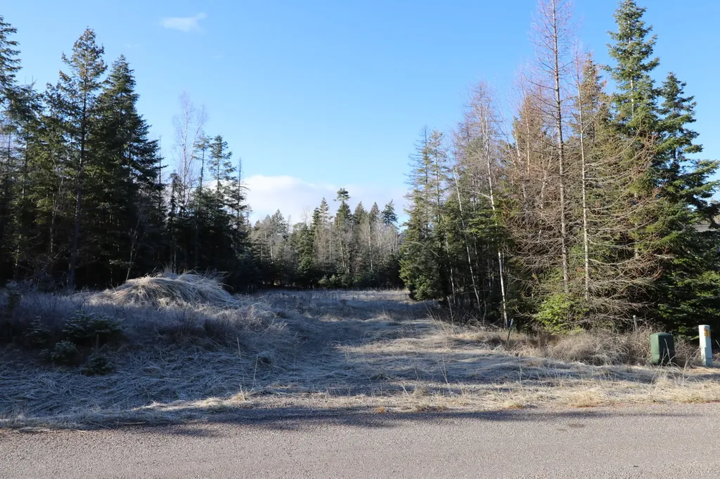 13523 Sundance Trail Bigfork MT 59911