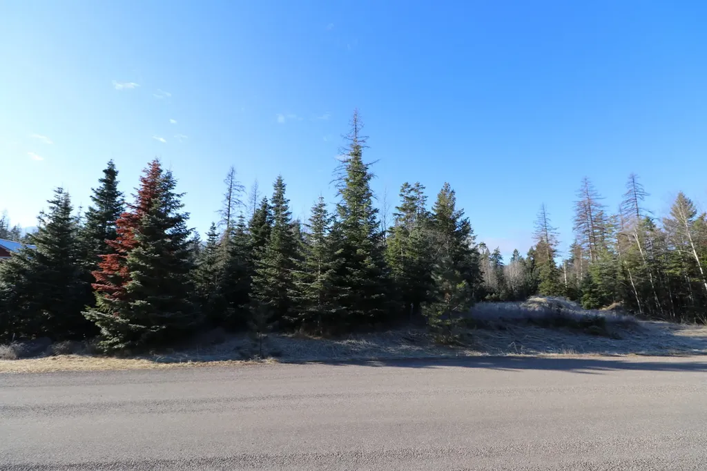 13523 Sundance Trail Bigfork MT 59911