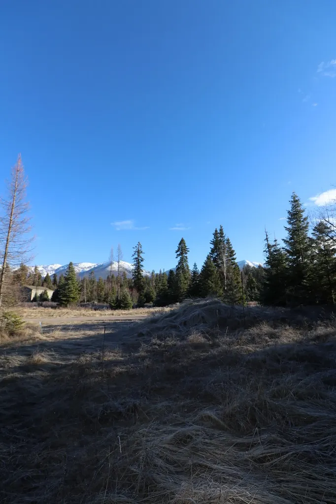 13523 Sundance Trail Bigfork MT 59911