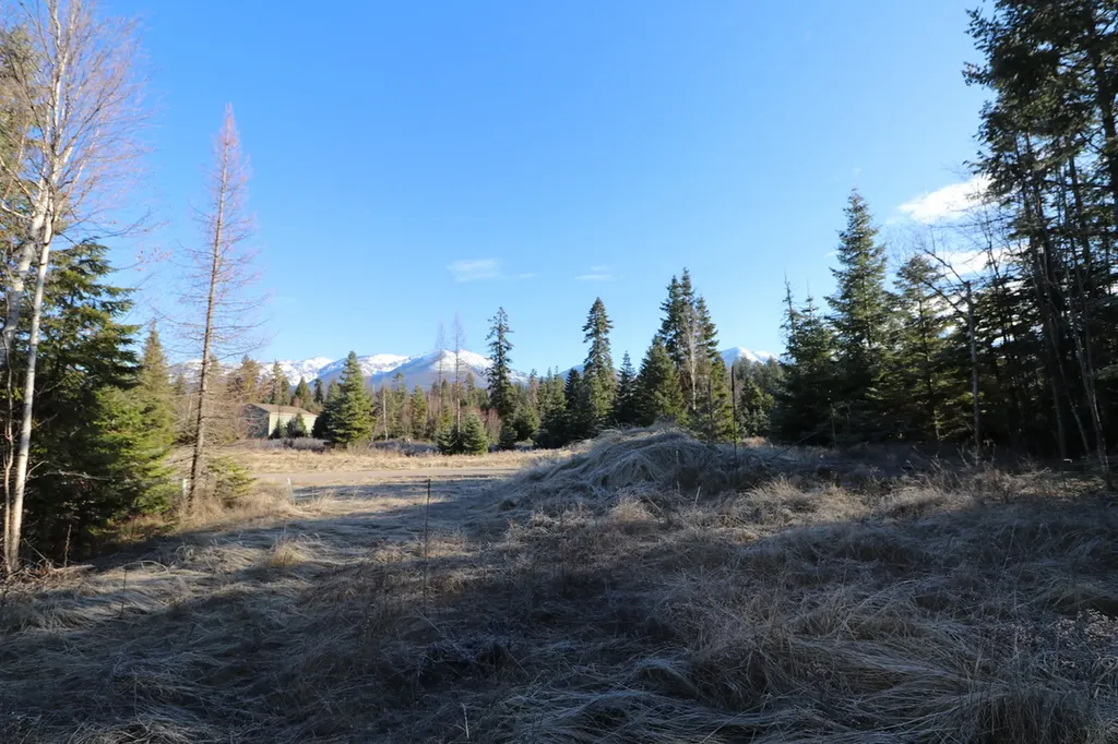 13523 Sundance Trail Bigfork MT 59911