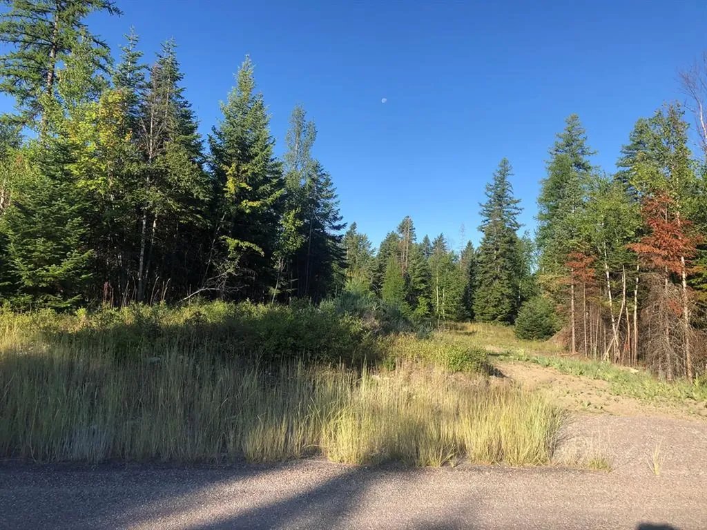 13523 Sundance Trail Bigfork MT 59911