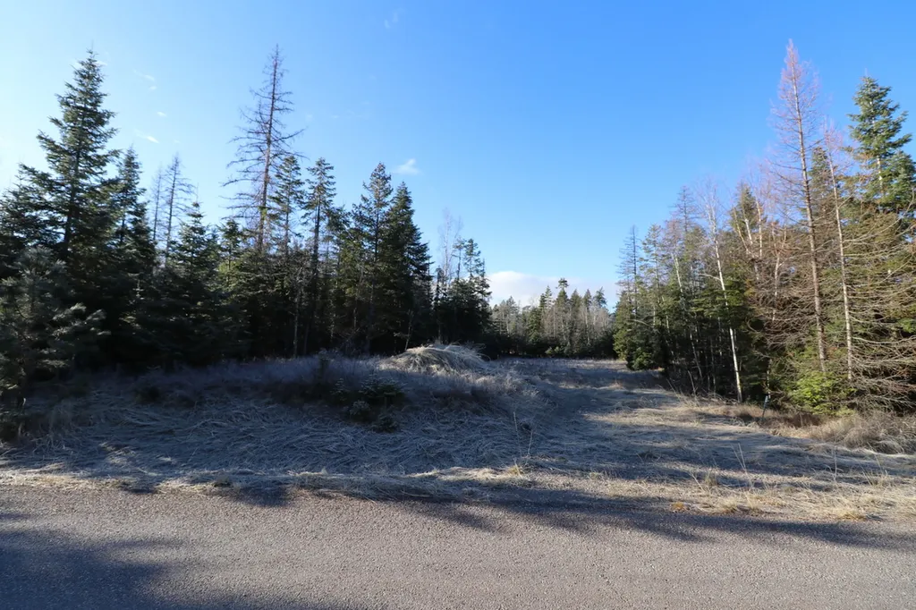 13523 Sundance Trail Bigfork MT 59911
