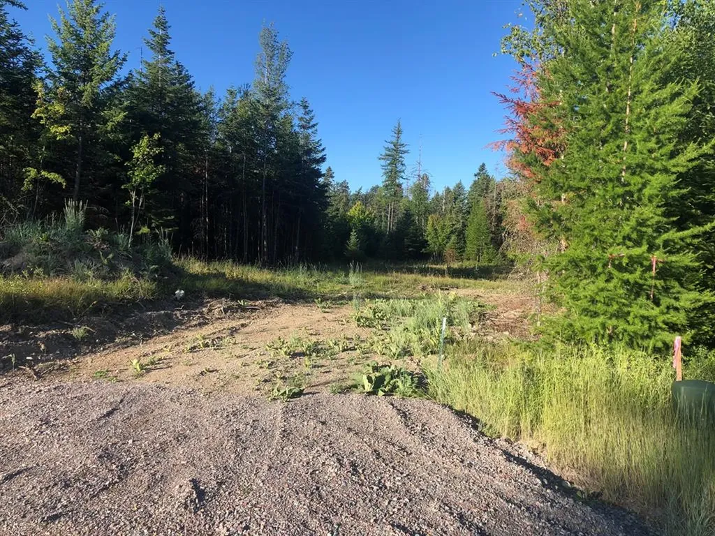 13523 Sundance Trail Bigfork MT 59911