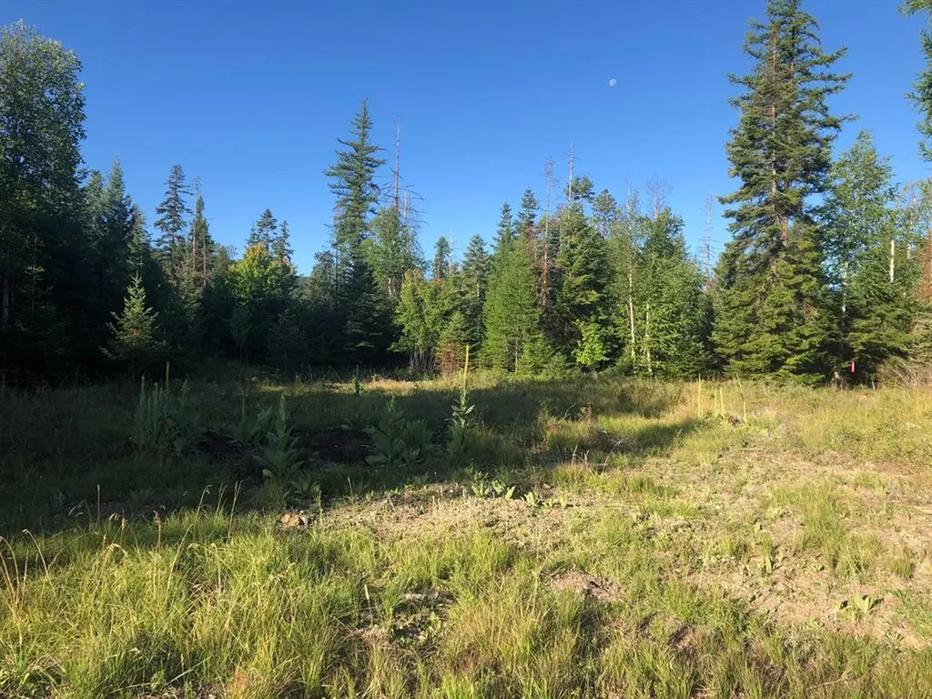 13523 Sundance Trail Bigfork MT 59911