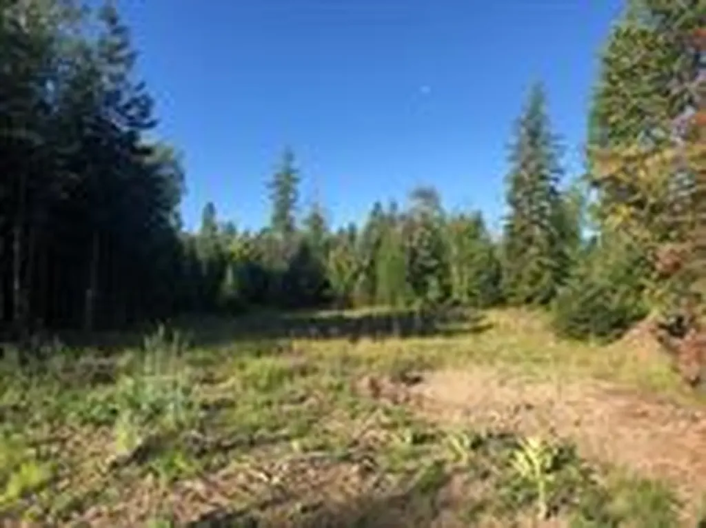 13523 Sundance Trail Bigfork MT 59911