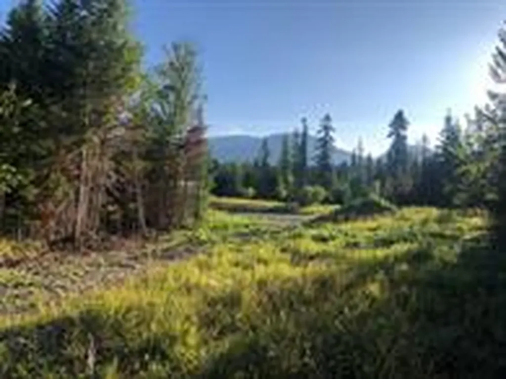 13523 Sundance Trail Bigfork MT 59911