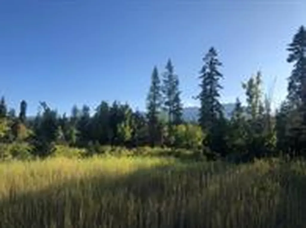 13523 Sundance Trail Bigfork MT 59911