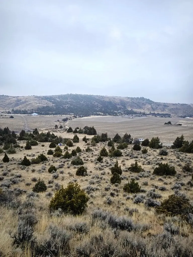 Tbd Pole Gulch Road Three Forks MT 59752