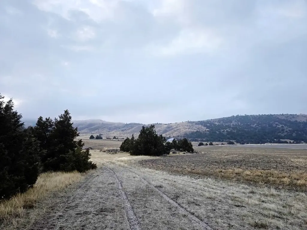 Tbd Pole Gulch Road Three Forks MT 59752