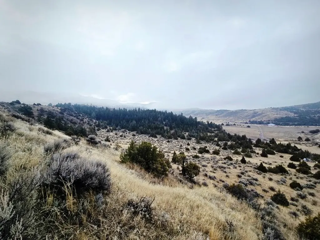 Tbd Pole Gulch Road Three Forks MT 59752
