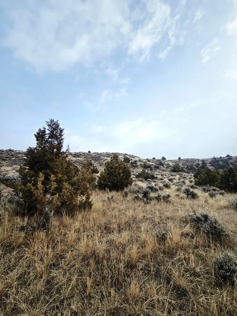 Tbd Pole Gulch Road Three Forks MT 59752
