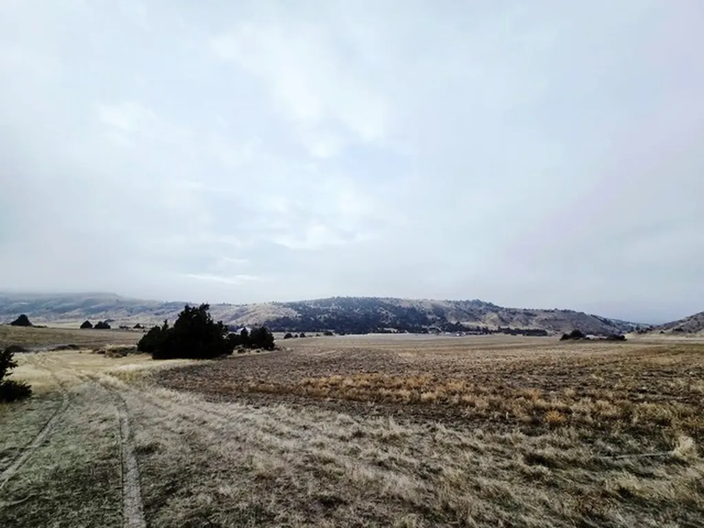 Tbd Pole Gulch Road Three Forks MT 59752