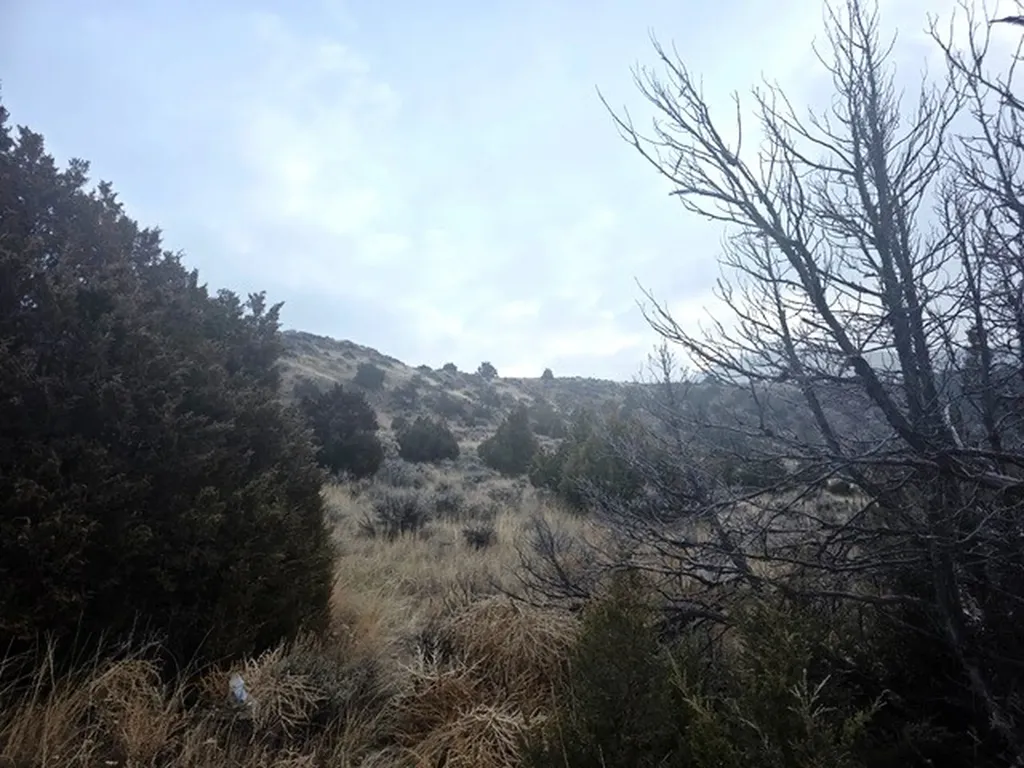 Tbd Pole Gulch Road Three Forks MT 59752