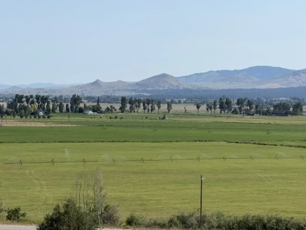 000 (Lot 1) Falcon Watch Road Hamilton MT 59840