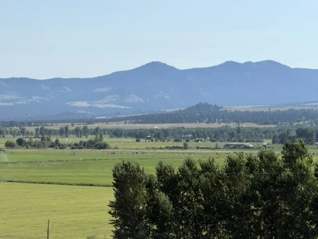 000 (Lot 1) Falcon Watch Road Hamilton MT 59840