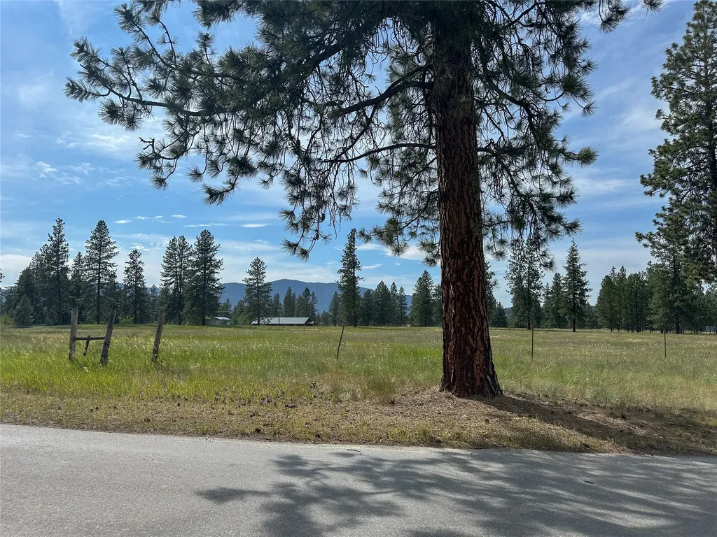86 Steamboat Way W Thompson Falls MT 59873