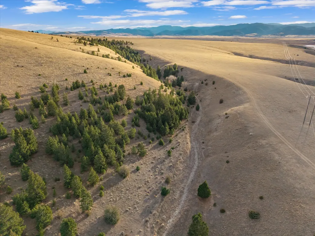 Nhn Homestead Creek Drive Anaconda MT 59711