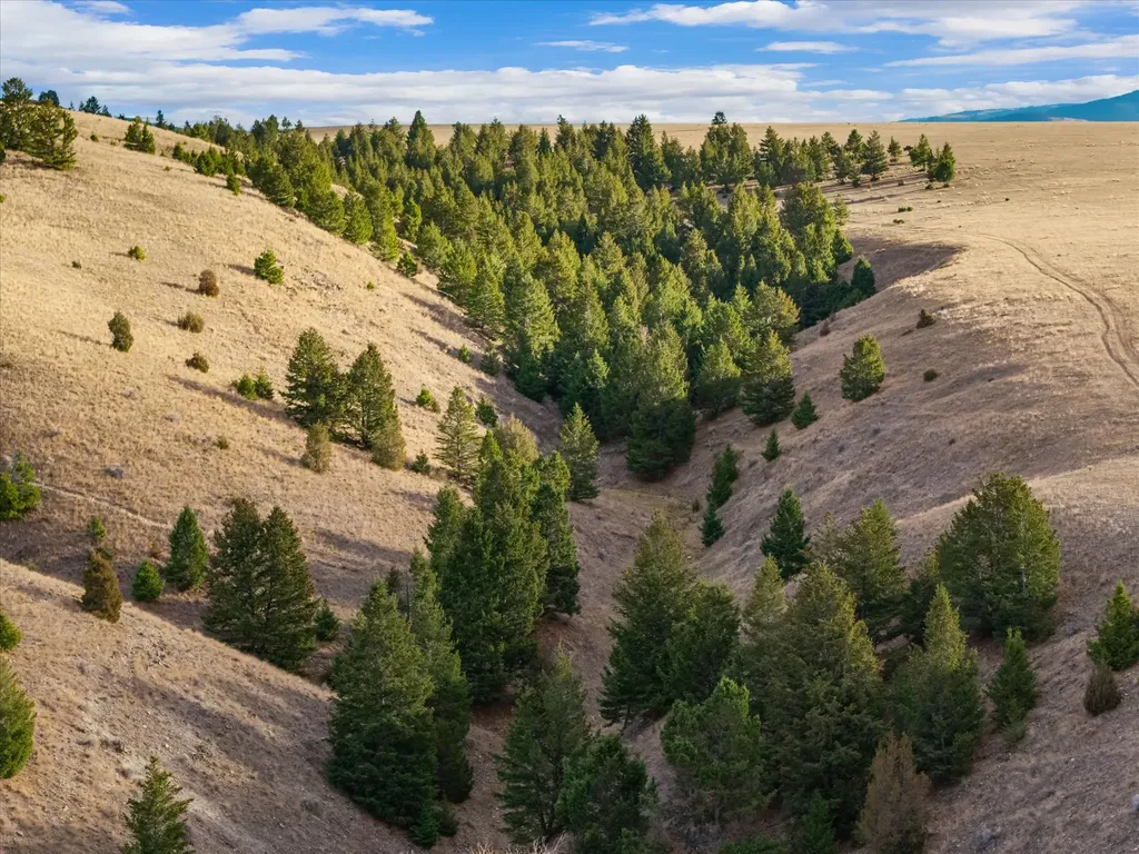 Nhn Homestead Creek Drive Anaconda MT 59711