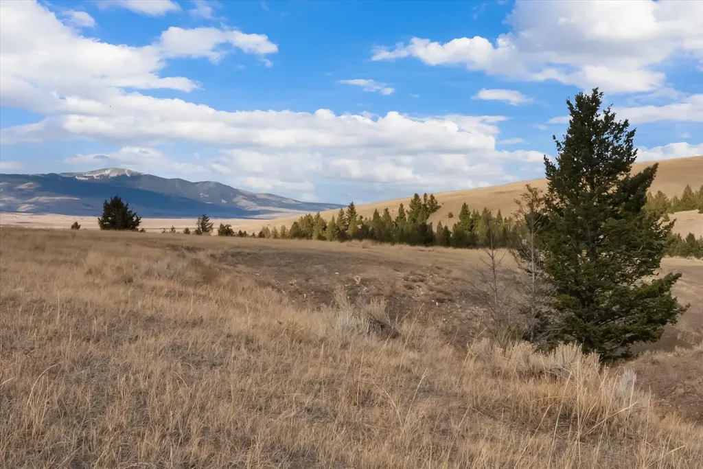 Nhn Homestead Creek Drive Anaconda MT 59711
