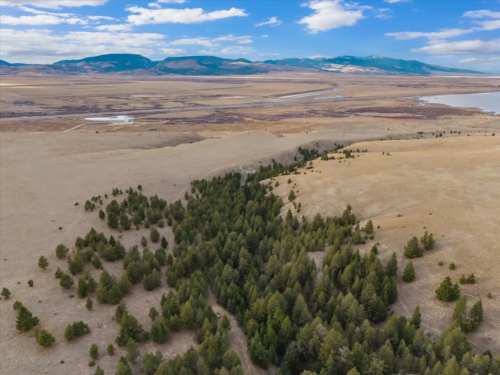 Nhn Homestead Creek Drive Anaconda MT 59711