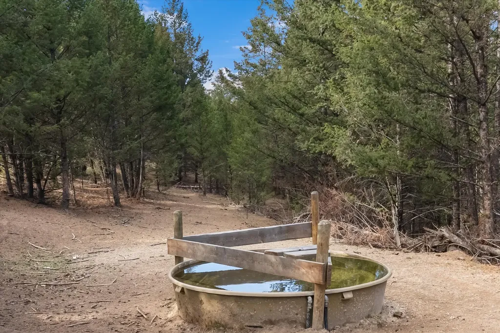 Nhn Homestead Creek Drive Anaconda MT 59711