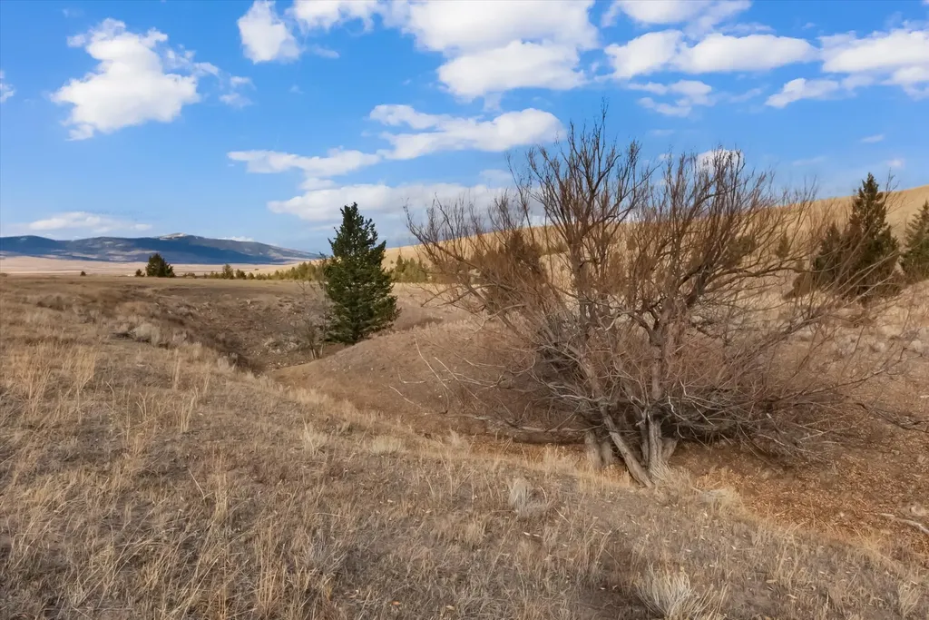 Nhn Homestead Creek Drive Anaconda MT 59711