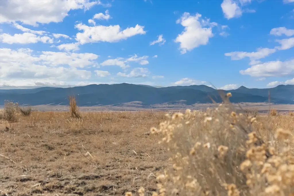 Nhn Homestead Creek Drive Anaconda MT 59711