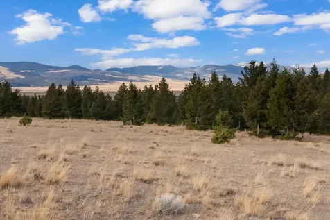 NHN Homestead Creek Drive Anaconda MT 59711
