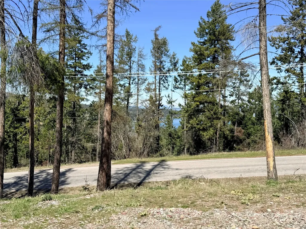 100 Political Hill Lakeside MT 59922
