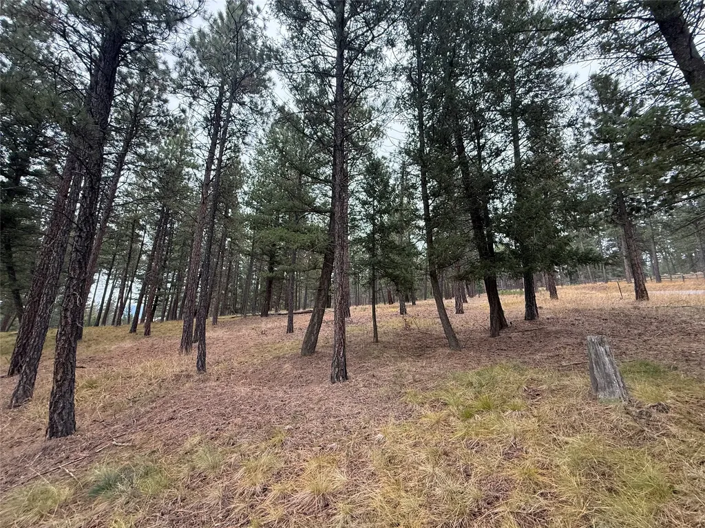 0 Boulder Lane Eureka MT 59917