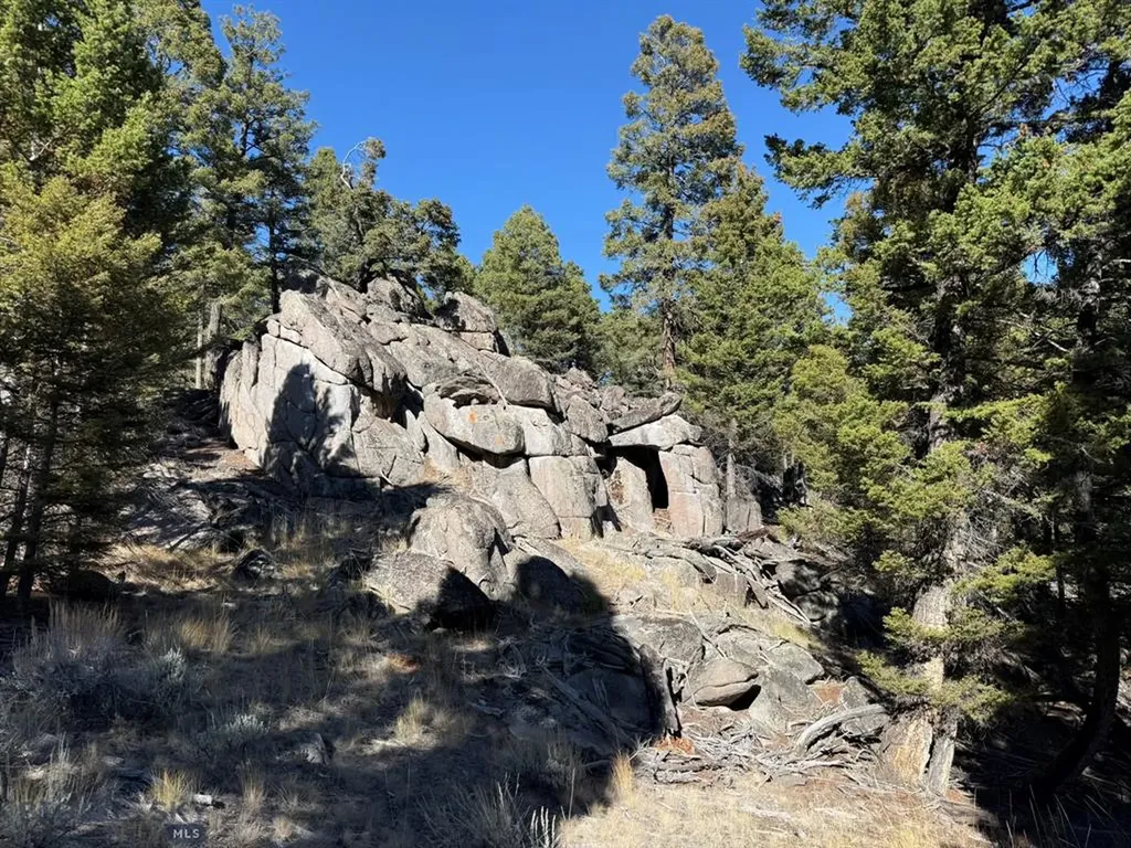 91 Upper Rader Creek Road Whitehall MT 59759
