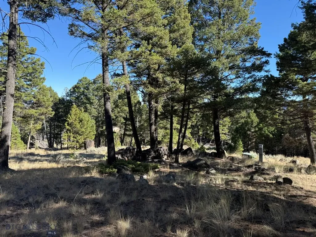 91 Upper Rader Creek Road Whitehall MT 59759