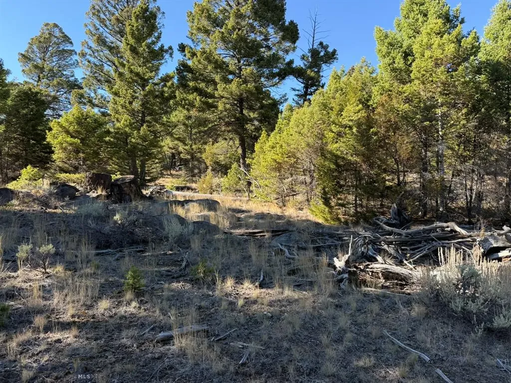 91 Upper Rader Creek Road Whitehall MT 59759
