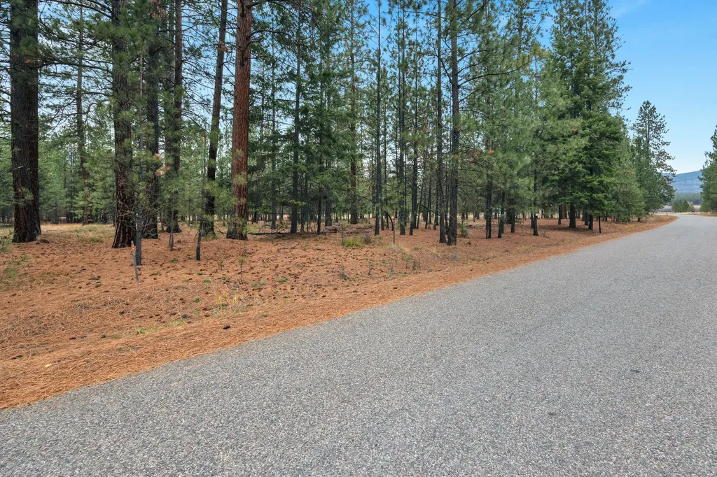 Nhn Swamp Creek Road Plains MT 59859
