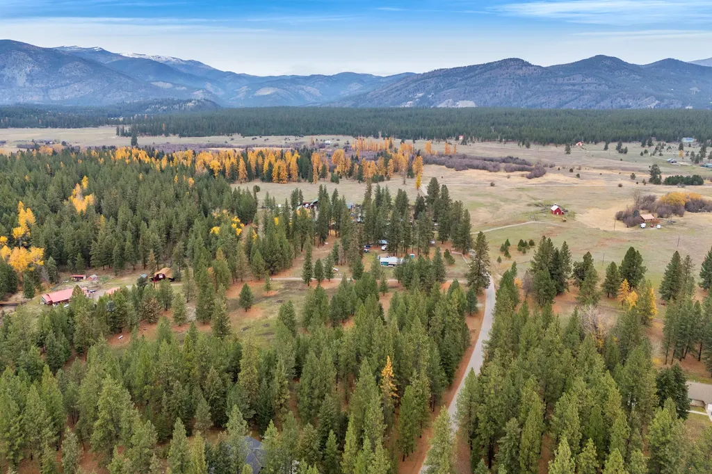 Nhn Swamp Creek Road Plains MT 59859