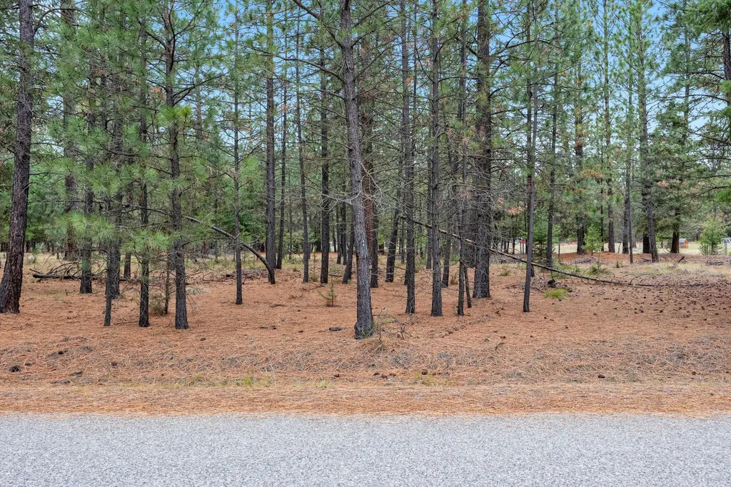 Nhn Swamp Creek Road Plains MT 59859