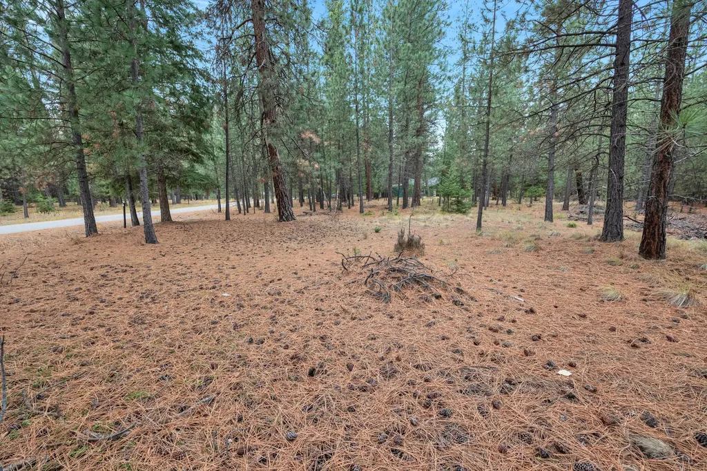 Nhn Swamp Creek Road Plains MT 59859