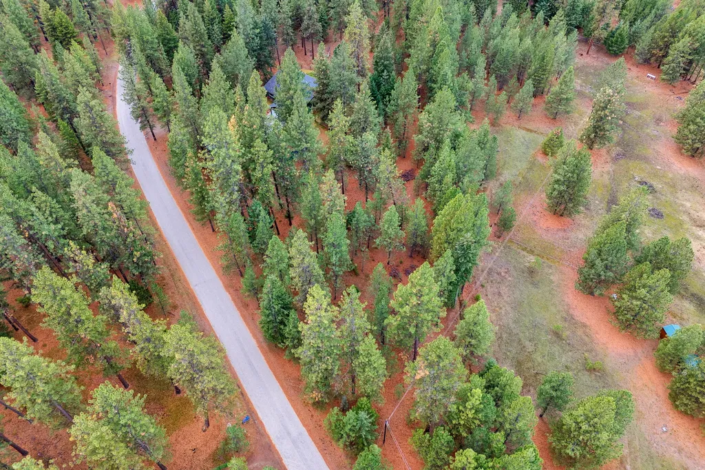 Nhn Swamp Creek Road Plains MT 59859